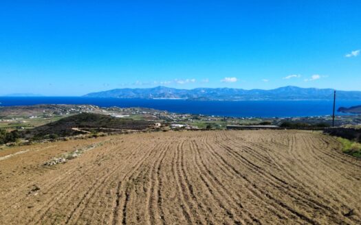 WhatsApp Image 2025 10 29 at 12.35.26 4